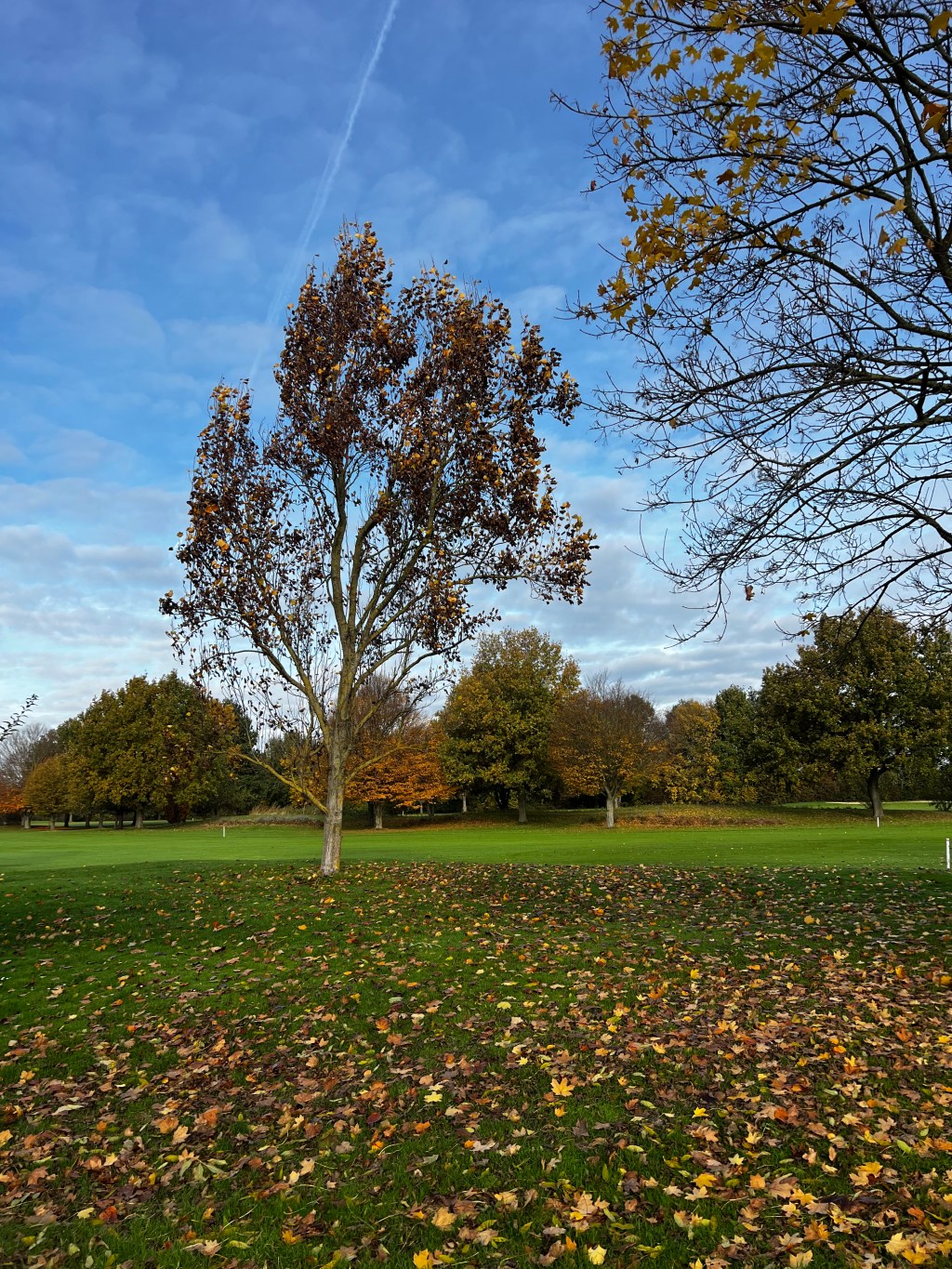 Der Herbst ist da – und wir&nbsp;mittendrin